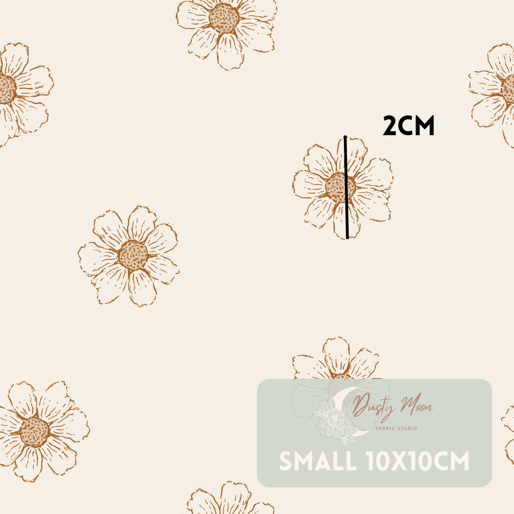Daisies Creme | Pre Order 19th - 25th June
