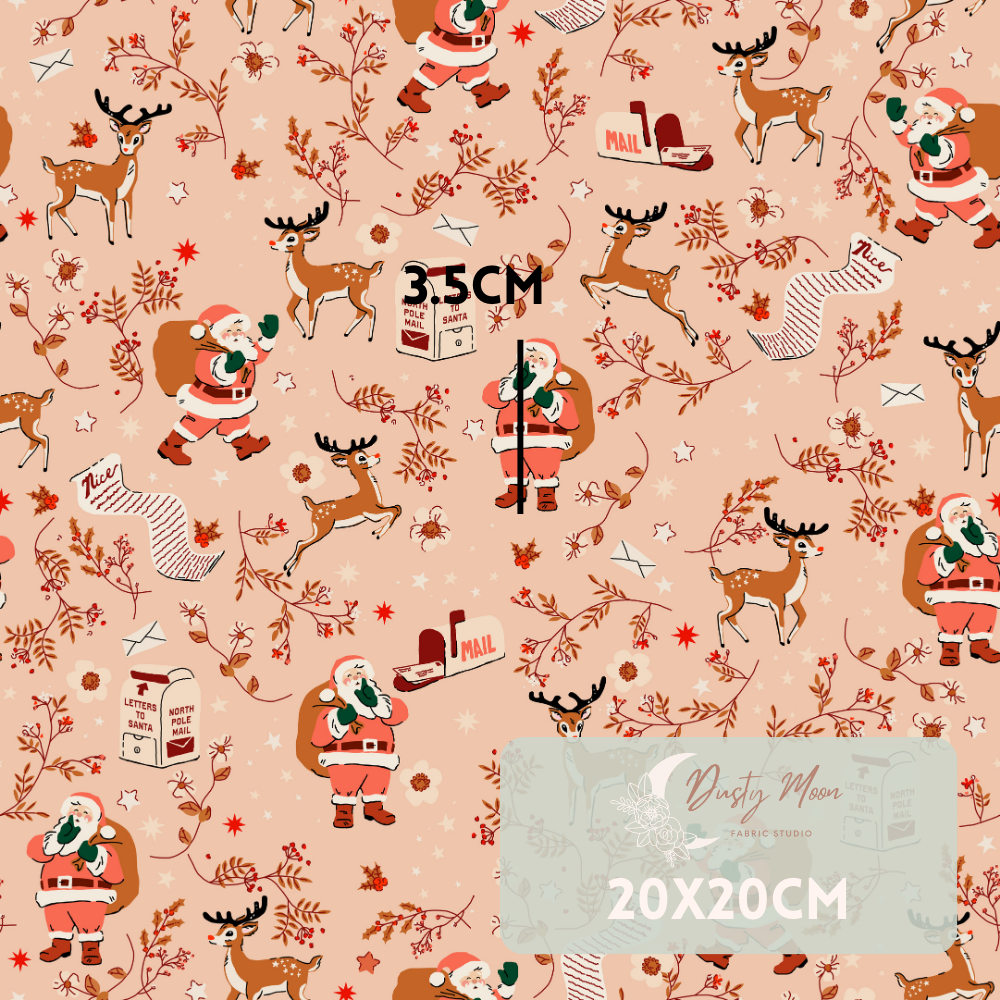 Letters to Santa | Christmas Pre Order 19th - 25th June