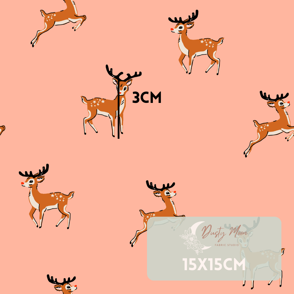 Rudolf | Christmas Pre Order 19th - 25th June