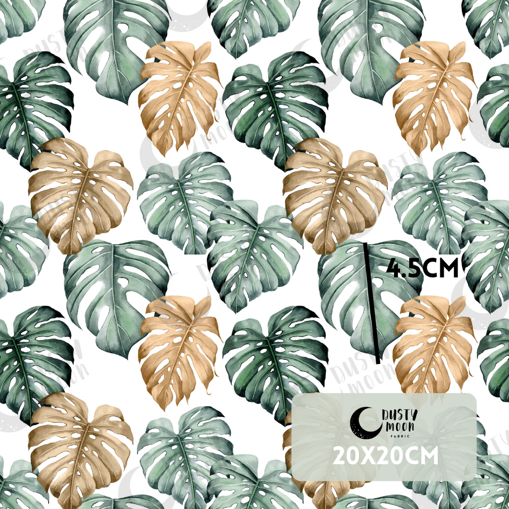 Monstera | Pre Order 26th Mar - 2nd Apr