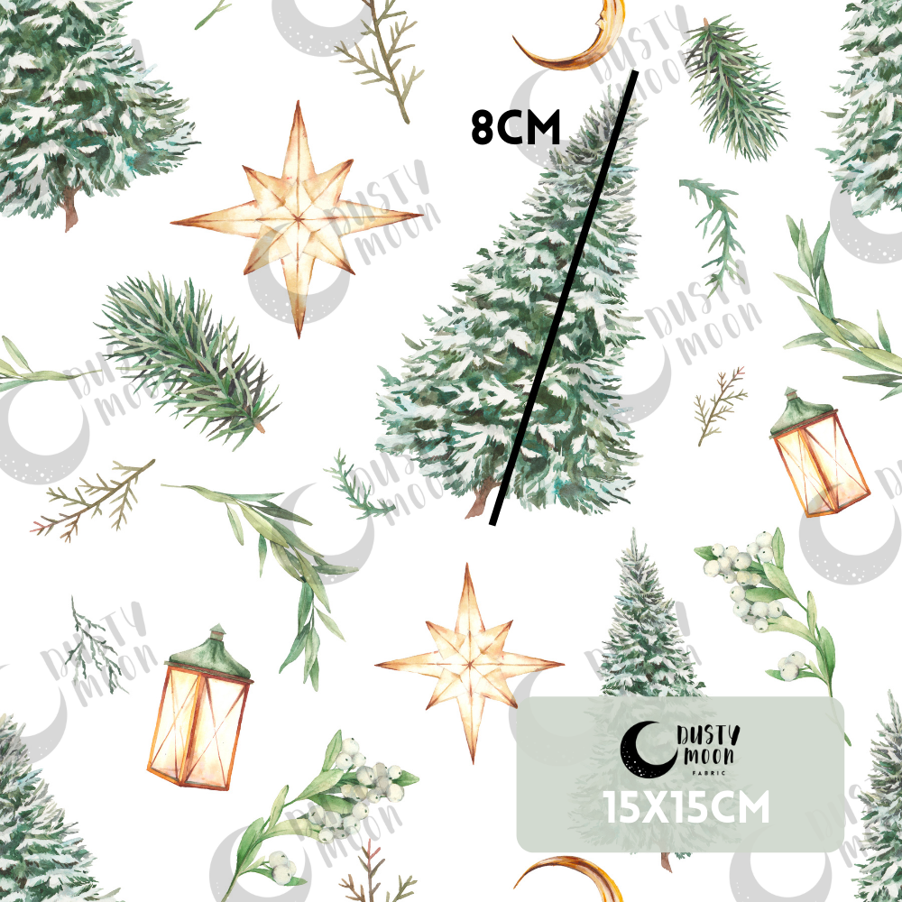 Paxton | Christmas Pre Order 19th - 25th June