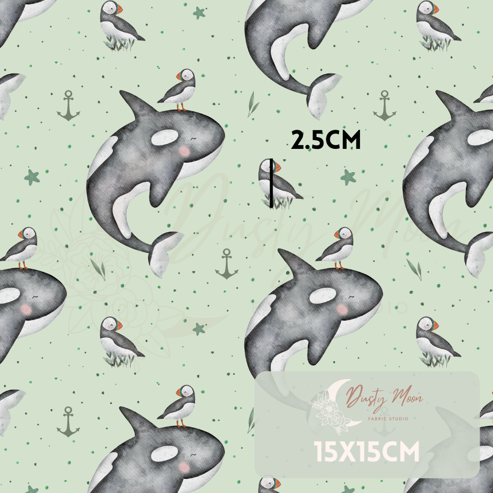 Orca | Pre Order 19th - 25th June