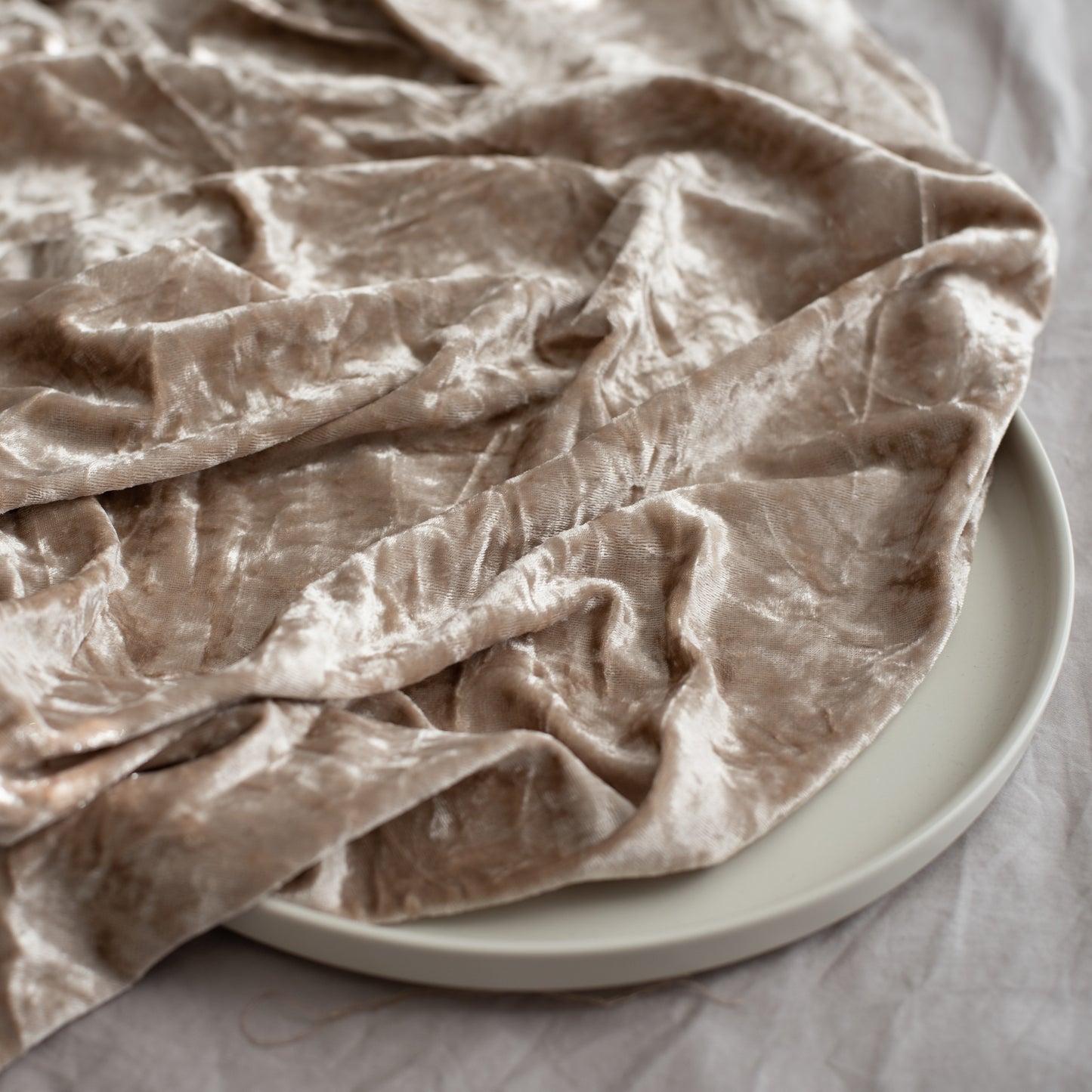 Crushed Stretch Velvet | Teddy