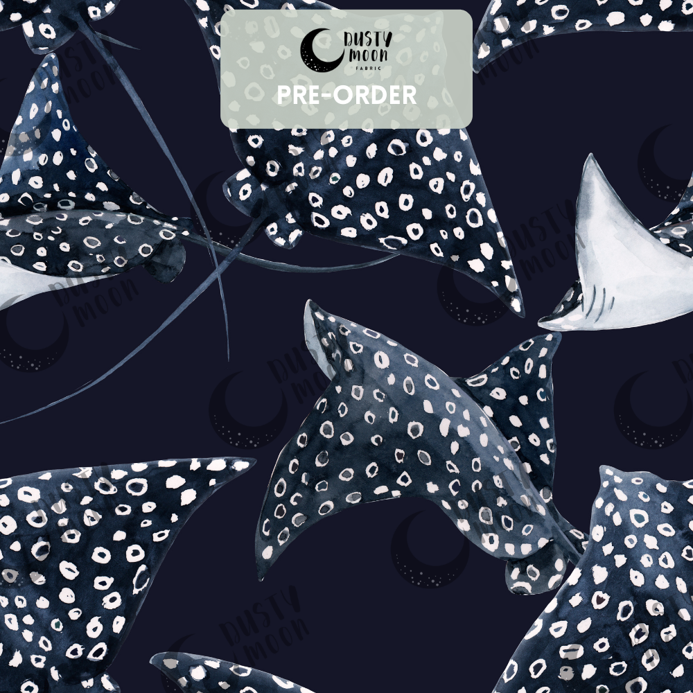 Ray | Pre Order 19th - 25th June