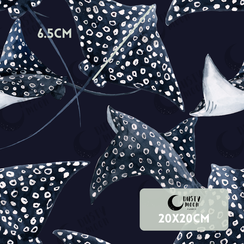 Ray | Pre Order 19th - 25th June
