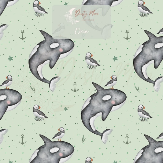 Orca | Pre Order 6th - 13th May