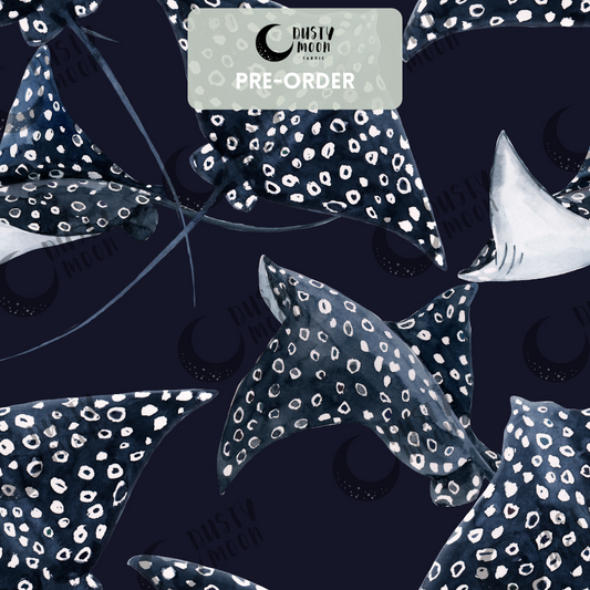 Ray | Pre Order 19th - 25th June